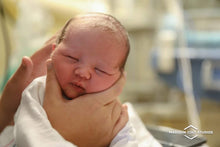 Load image into Gallery viewer, Fresh 48 Hospital Session