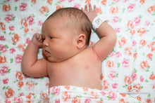 Load image into Gallery viewer, Fresh 48 Hospital Session