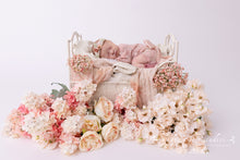 Load image into Gallery viewer, Maternity to First Year Premium Experience