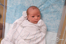 Load image into Gallery viewer, Fresh 48 Hospital Session