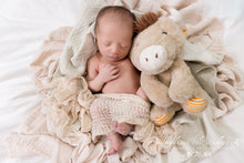 Load image into Gallery viewer, Newborn In-home Experience (4 hour In-home Session)
