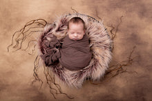 Load image into Gallery viewer, Newborn Premium Experience
