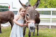 Load image into Gallery viewer, Family Sessions at The Farm
