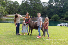 Load image into Gallery viewer, Family Sessions at The Farm
