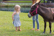 Load image into Gallery viewer, Family Sessions at The Farm
