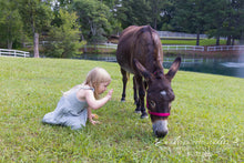 Load image into Gallery viewer, Family Sessions at The Farm
