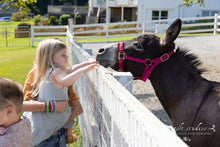 Load image into Gallery viewer, Family Sessions at The Farm
