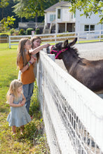 Load image into Gallery viewer, Family Sessions at The Farm
