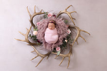 Load image into Gallery viewer, Newborn Premium Experience
