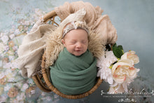 Load image into Gallery viewer, Maternity &amp; Newborn Digital Heirloom Family Package
