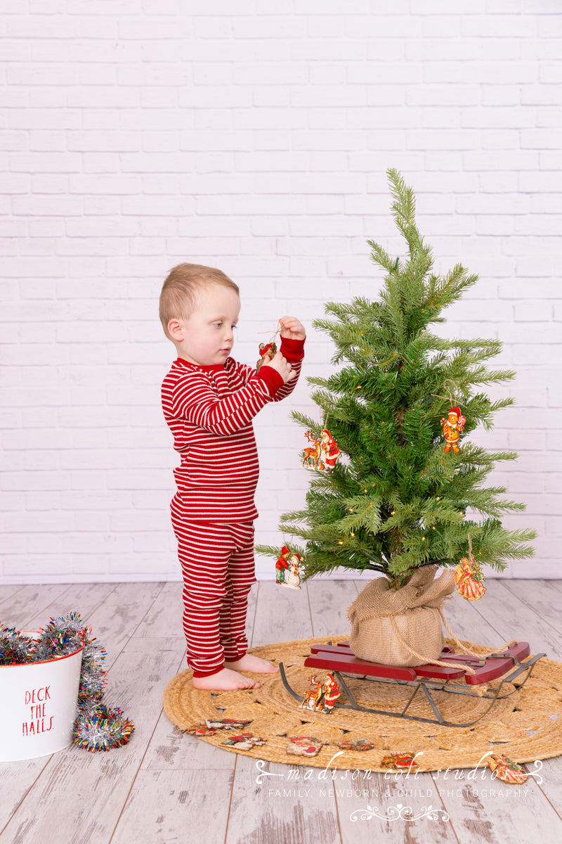 Studio Family Christmas Session